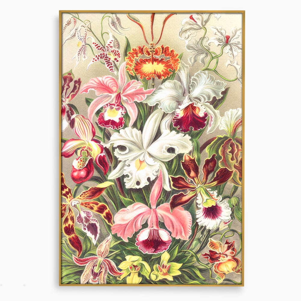 Tablou canvas cu ilustratie botanica cu orhidee multicolore, in rama de aluminiu auriu